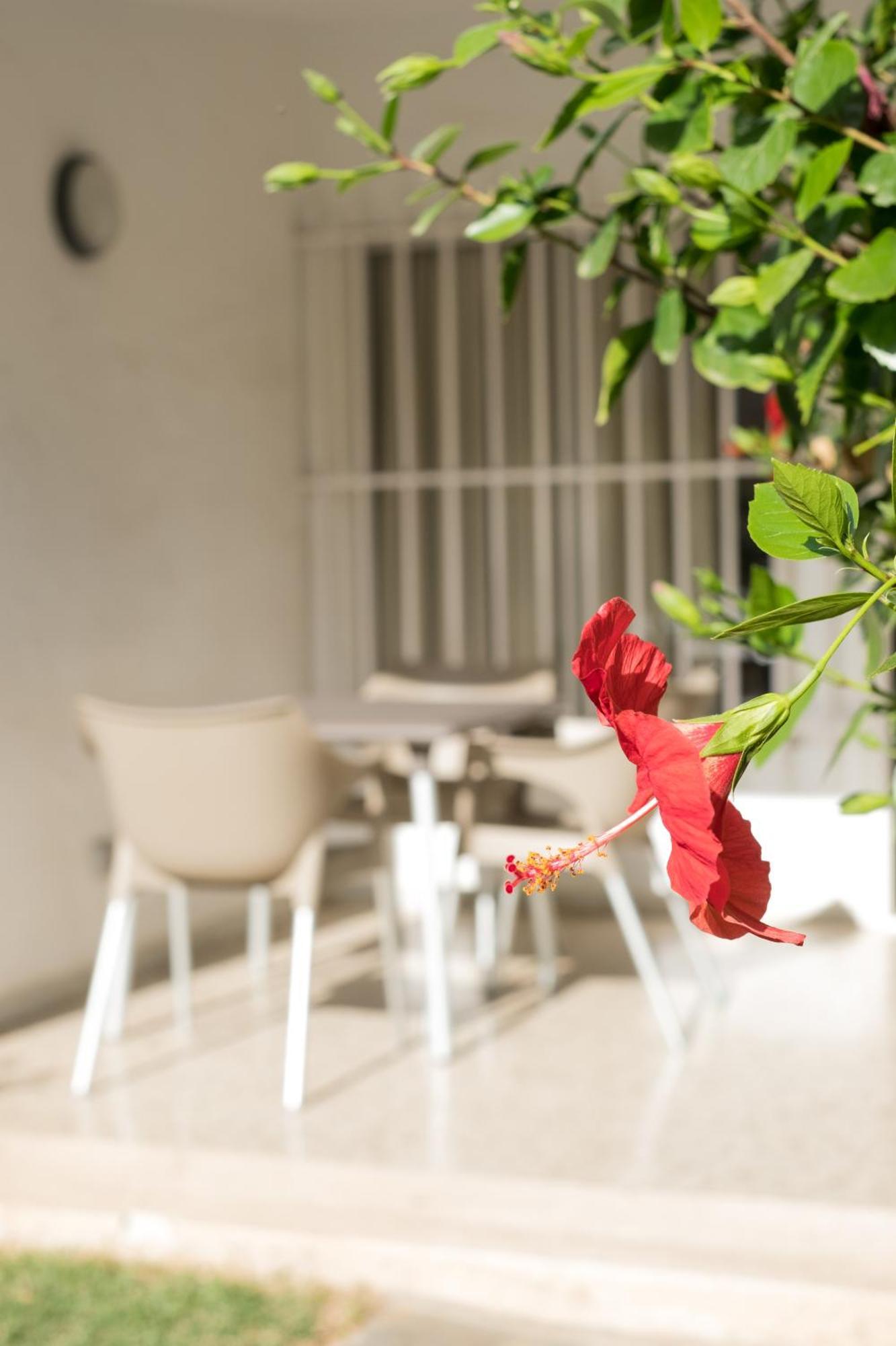 Makai Bungalows Playa Del Aguila  エクステリア 写真